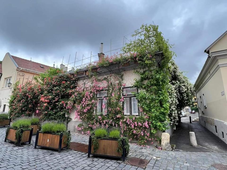 Downtown Romantic Székesfehérvár Buitenkant foto